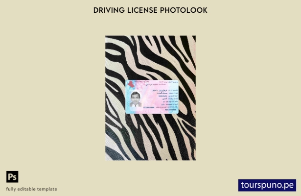 listo para imprimir plantilla FRONTAL de aspecto fotográfico del permiso de c 29